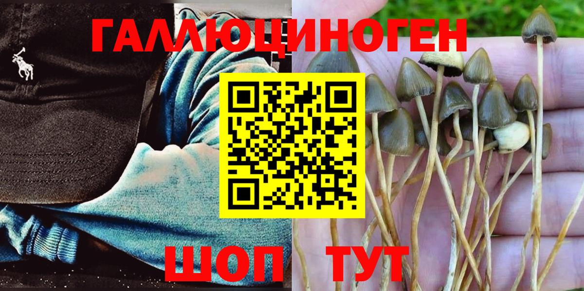 Псилоцибиновые грибы GOLDEN TEACHER Ревда
