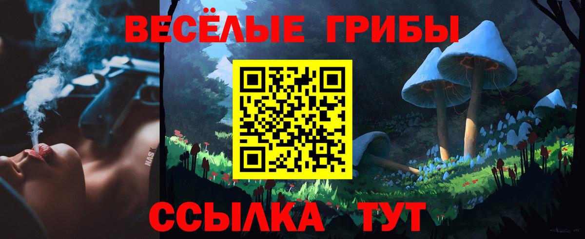 Ревда  Псилоцибиновые грибы Psilocybine cubensis  Вход с VPN  Псилоцибиновые грибы прущие грибы 